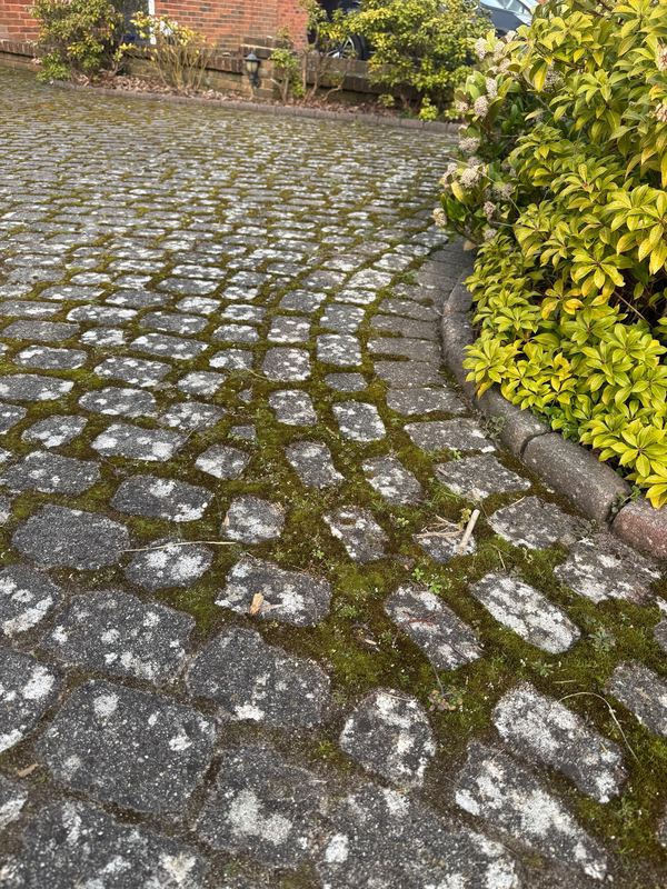 Block paving driveway, moss removed, before
